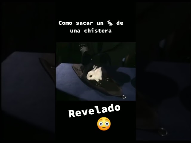 Video relacionado