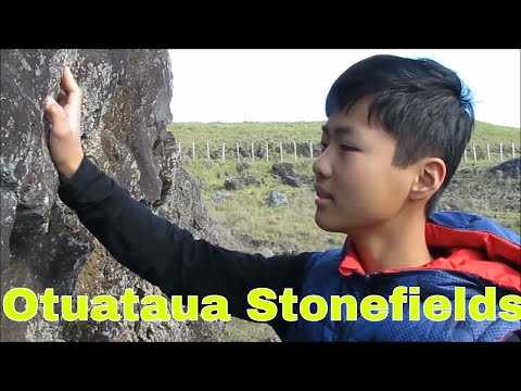 Otuataua Stonefields Historic Reserve, Auckland