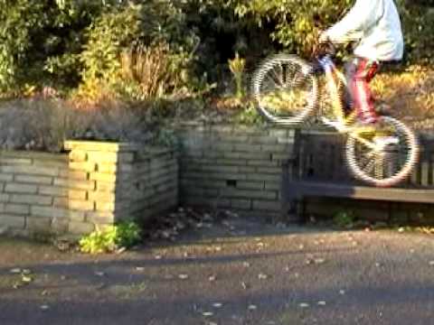 Faces of Death mountain bike face