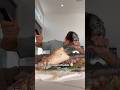 Eating World S Largest Crab