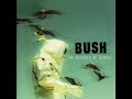 Bush - Jesus Online
