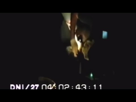 1997 Alien Interview