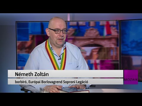 Mozaik - közéleti magazin - vendég: Németh Zoltán - 2024.04.23. - Kedd
