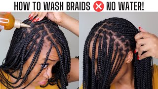HOW TO CLEAN YOUR SCALP IN BRAIDS | NO FRIZZ, NO SHAMPOO, NO WATER ft African Pride