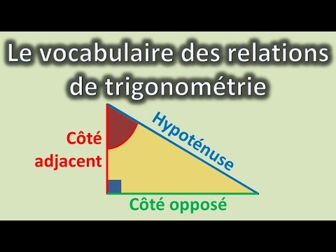Trigonométrie : vocabulaire dans le triangle rectangle