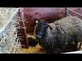 19 Maj 2025