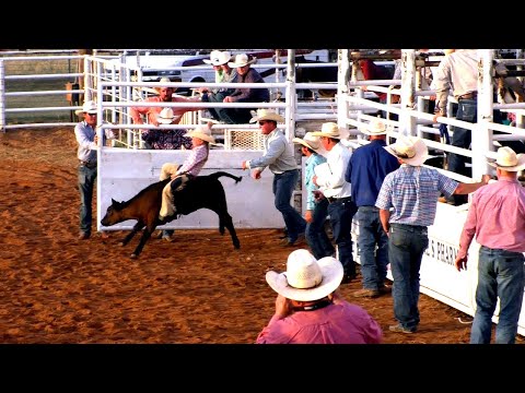Calf Riding - 2019 Saint's Roost Ranch Rodeo (Saturday)