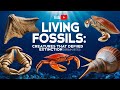 Living Fossils: Creatures That Defied Extinction | Brain Bites