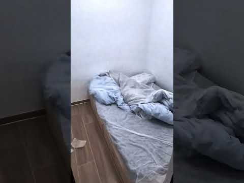 New Lucky House Youtube Video