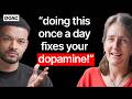 Dopamine Expert Doing This Once A Day Fixes Your Dopamine What Alcohol Is Doing To Your Brain