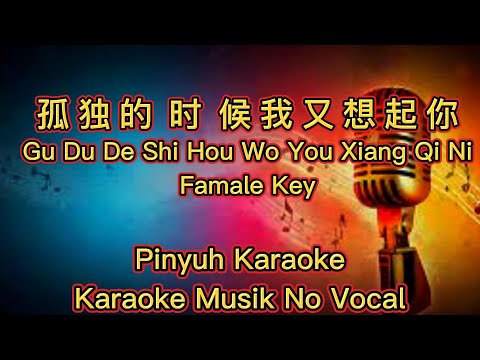 Gu Du De Shi Hou Wo You Xiang Qi Ni -- 孤独的时候我又想起你 -- Karaoke - Musik No Vocal