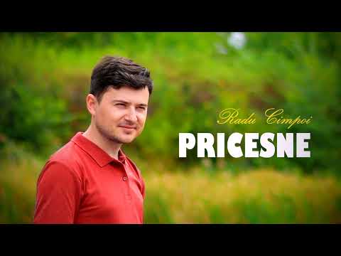 Radu Cimpoi - Pricesne