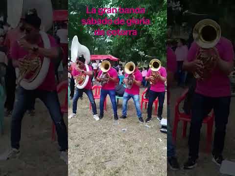 la gran banda sábado de gloria de cotorra cordoba #seguidores #shortsviral