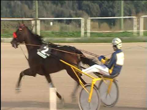 Trotto 02/12/2018 - 1ª corsa