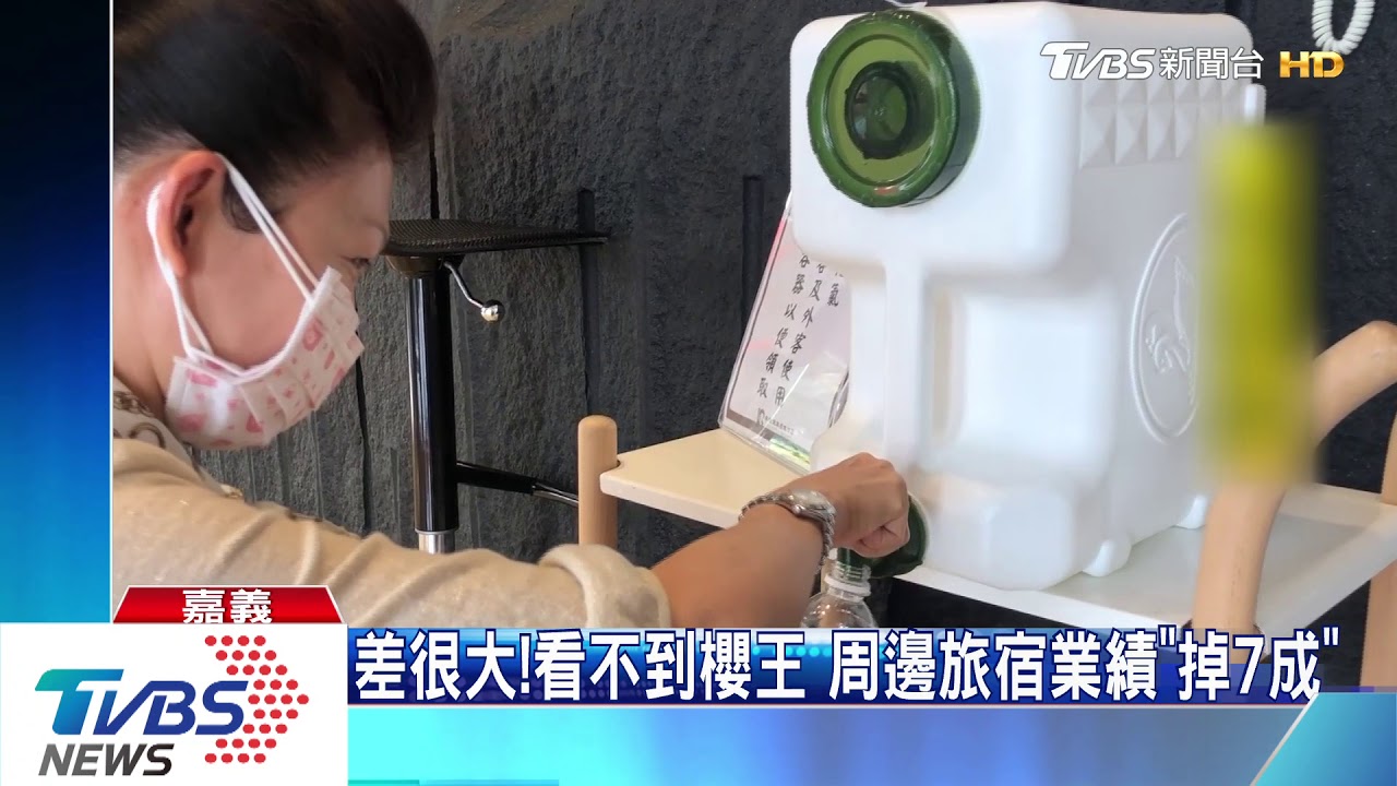 不畏疫情！櫻王花開　阿里山賓館住房率滿