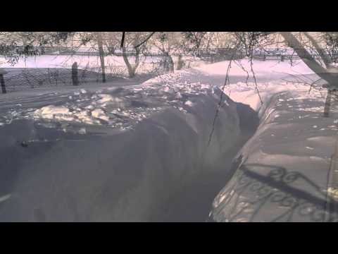 Dalhauti Vrancea 08.02.2012