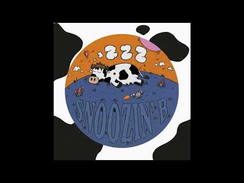 Snoozin' B - Th B Is For Bass [ZZZ01]