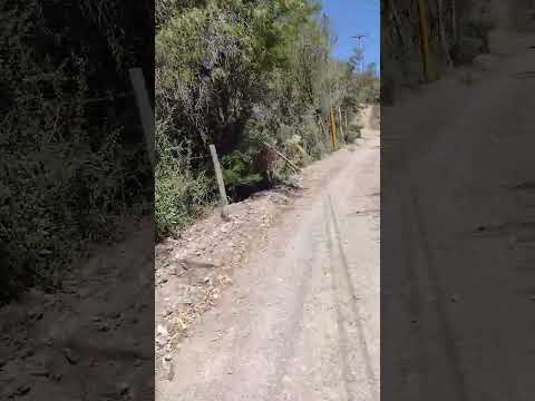 pedernal , departamento sarmiento provincia de san Juan ... una belleza