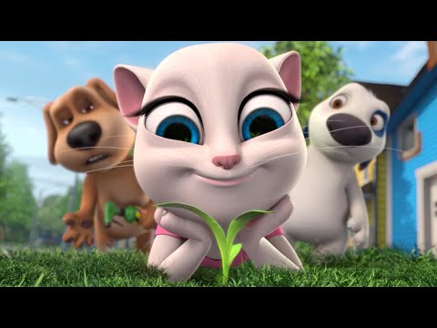 Corn Heads | Talking Tom & Friends | Cartoons for Kids | WildBrain Kids