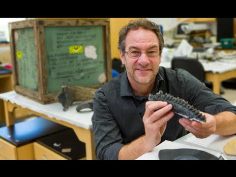 Dinosaur dentals more complex than modern reptiles