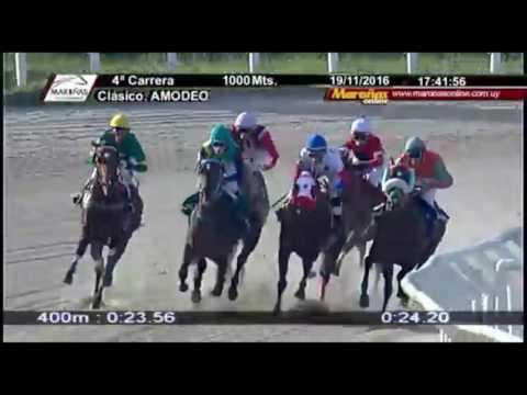 Quinling (Brz) ganó el Cl. Amodeo Maroñas