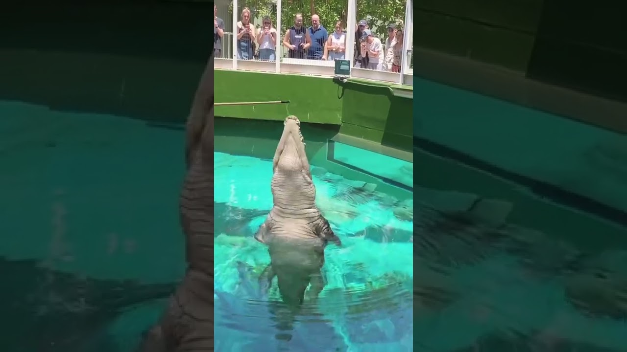 YouTube Short thumbnail