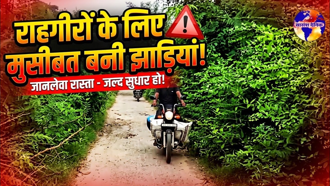 राहगीरों के लिए परेशानी का सबब बनी झाडियाँ