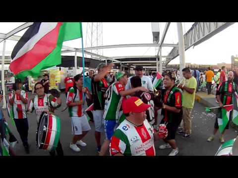 "La Banda de Los Baisanos - Palestino Chile." Barra: Los Baisanos &bull; Club: Club Deportivo Palestino
