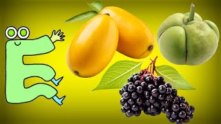 Fruits Name Start With Letter E | Fruits Name Start With E | @popispreschool