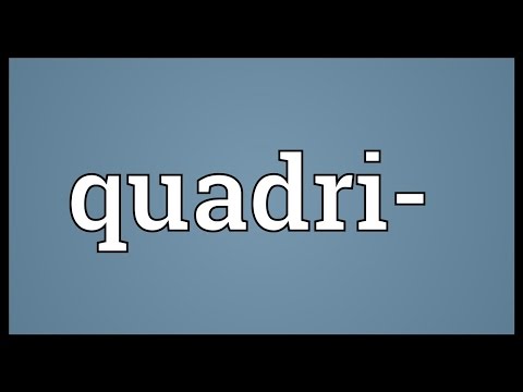Quadri- Meaning