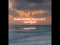 Robin Schulz Prayer In C Speed Up
