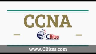 CCNA Training in Chandigarh (9988741983) CBitss Technologies.