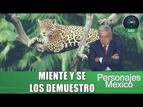 El 'Parque Nacional del Jaguar' del mal llamado 'Tren Maya', es una tomadura de pelo
