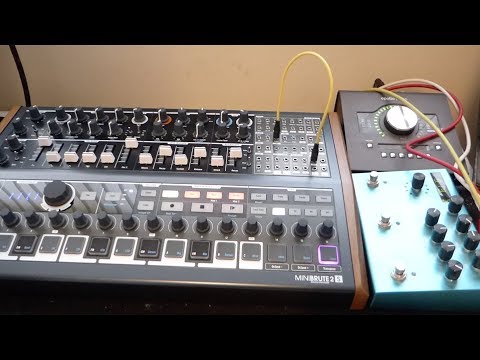 Arturia Minibrute 2S & Strymon Big Sky