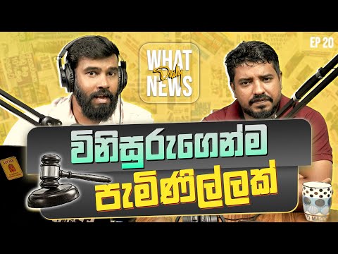 #breakingnews සරණගේ නඩුවක තීන්දුවක් අල්ලස් දී වෙනස් කරන්න හදලා! What News Daily