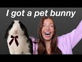 I Got A Pet Bunny Set Up Pick Up My Holland Lop Rabbit Bunny Supplies Haul 48 Hour Bunny Vlog
