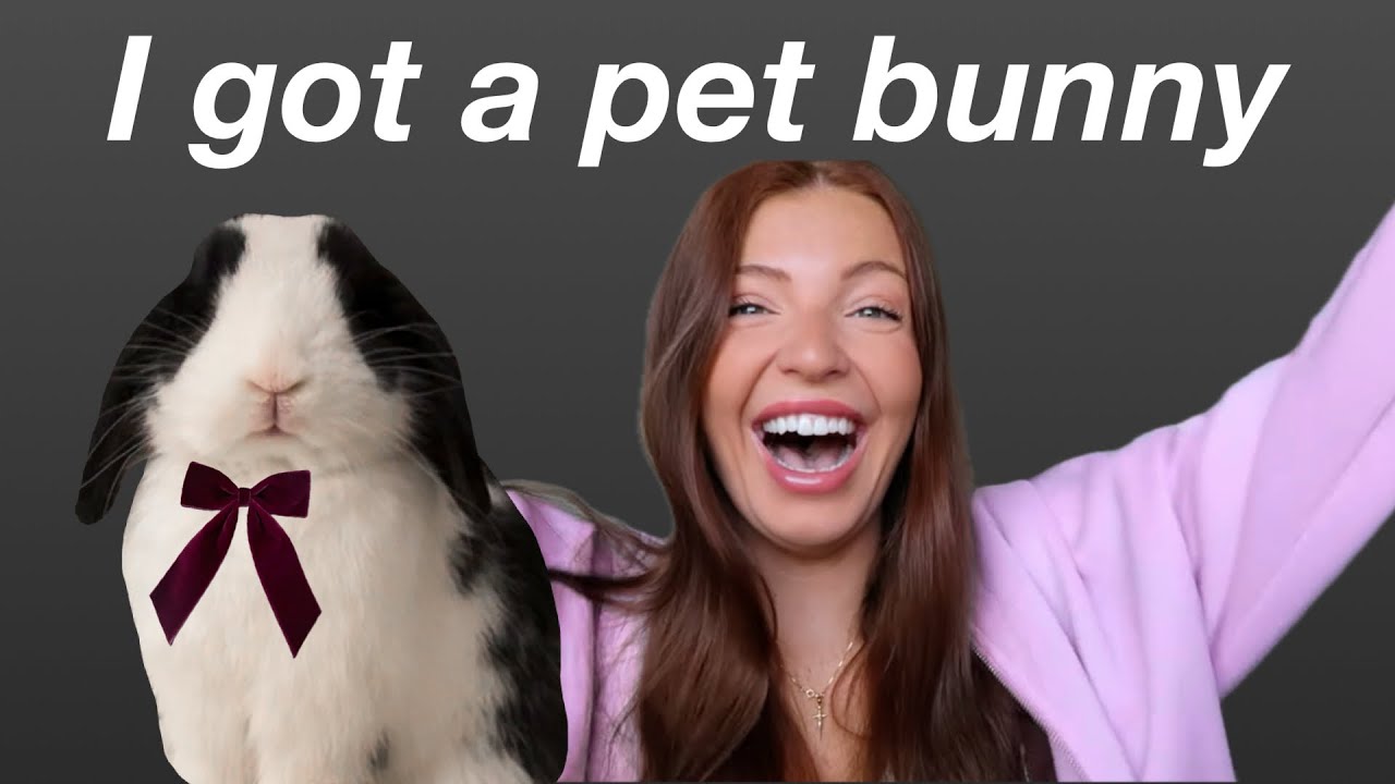 Getting a pet bunny! pick up my holland lop rabbit & bunny supplies haul! Setting up vlog