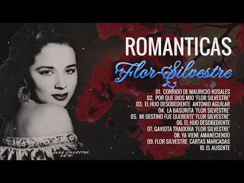 FLOR SILVESTRE PURAS RANCHERAS  Mix - 20 Bellas Canciones de flor silvestre