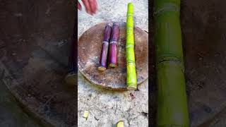 Download lagu #farming #enjoyrurallife #naturerurallife #rurallife #vegetables #garden #rogator #short mp3