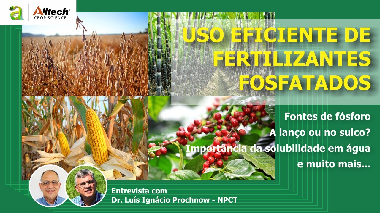 #150 - USO EFICIENTE DE FERTILIZANTES FOSFATADOS - ENTREVISTA COM DR. LUIS IGNÁCIO PROCHNOW - NPCT