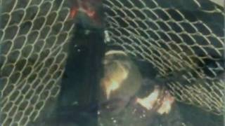 Nine Inch Nails - wish [mix]