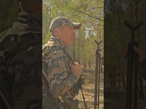 Brad's suspicious choice for a hunting location.