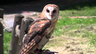 Kenny Chesney - A Lot Of Things Different