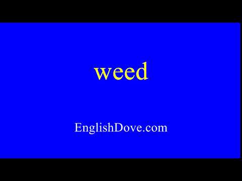 How to pronounce weed in American English.