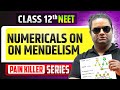 Numericals On Mendelism From Basics To Advanced NEET 2026