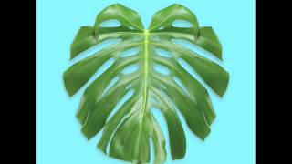 Big Scary - Twin Rivers