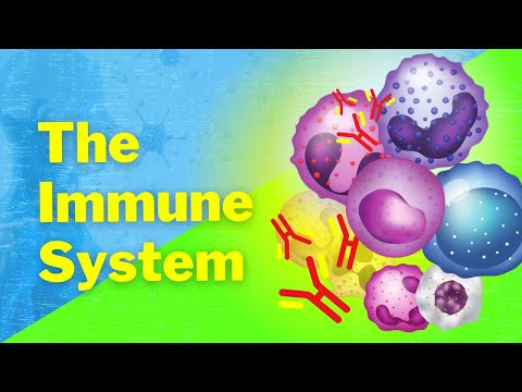 An Introduction to the Immune System