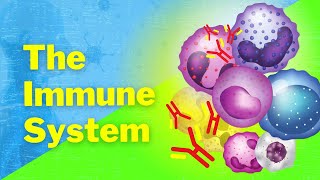 An Introduction to the Immune System