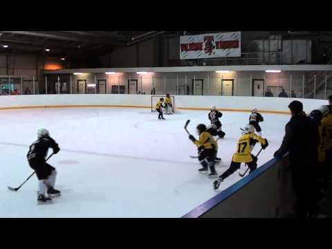 2014_01_25 Pantterit/KeKi E2 valkoinen - Kotu