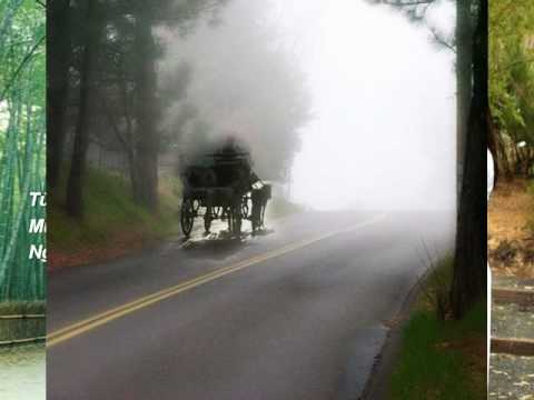 Mưa chiều bên ấy Sheet - Thu Trang